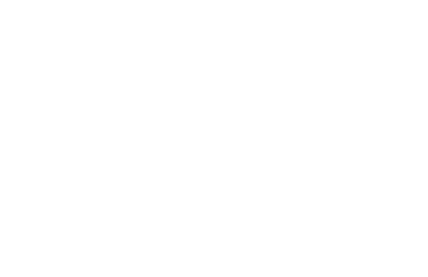 Federal Diner Wanaka - Logo
